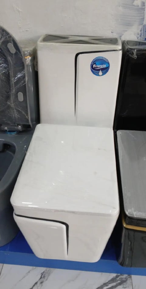 White Francia ceramic toilet with black seat and lid on display in showroom
