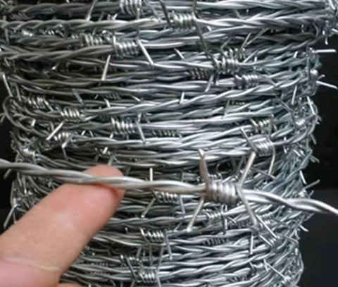 Close-up of a hand holding galvanized barbed wire fence coil